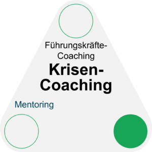 Krisen-Coaching